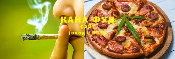 шишки Няндома