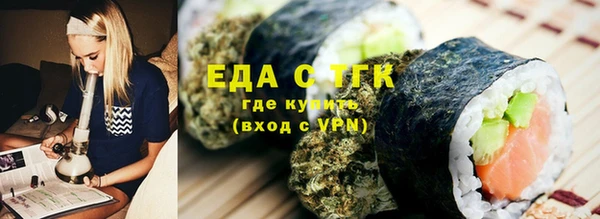 шишки Няндома