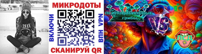 Псилоцибиновые грибы прущие грибы  Суджа 